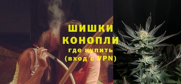 мдпв Карпинск